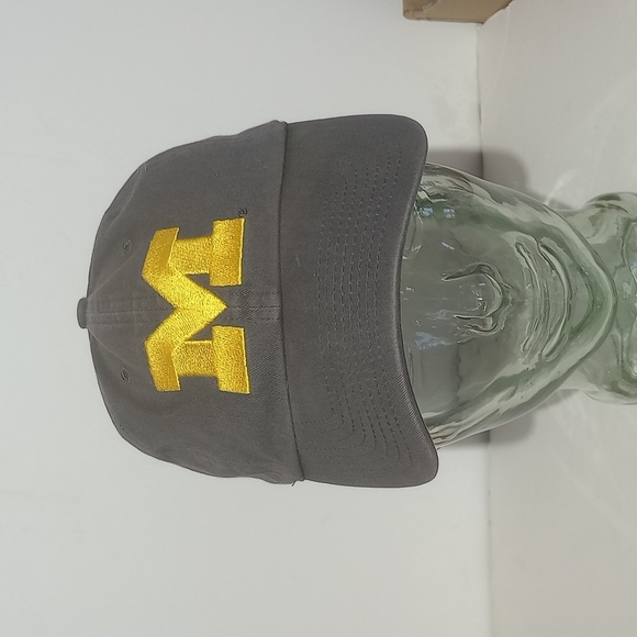 Michigan Wolverines Hat Cap Strap Back Adjustable Lithotype Logo Mens Sports - Picture 1 of 10